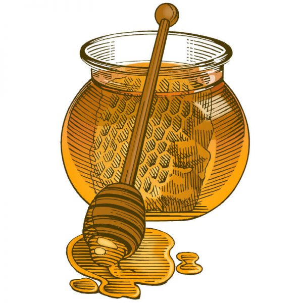 Lip Balm Honey - Image 3