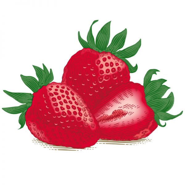 Lip Balm Strawberry - Image 3