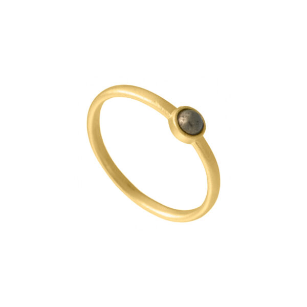 Aqua Dulce Roxy Ringur Gylt Silvur