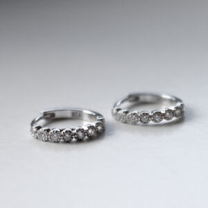 Shiny Hoops Oyraringar Silvur