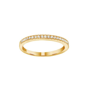 Adinanor Ringur Gylt Silvur