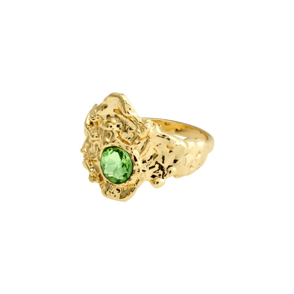 Anne-Sophie Ringur Gylt