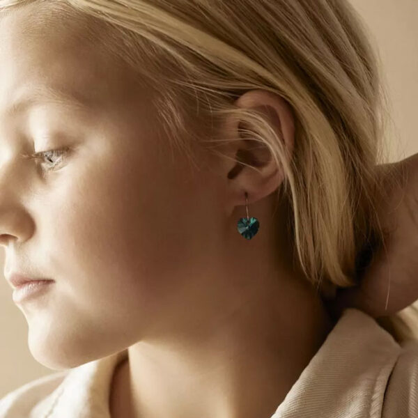 Heart Turquoise Hoops Oyraringar Titanium - Image 2