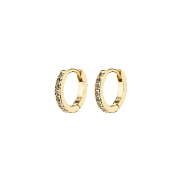 Ebna Mini Crystal Hoops Oyraringar Gylt