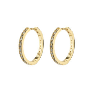 Ebna Medium Crystal Hoops Oyraringar Gylt