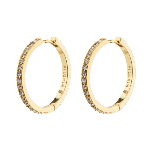 Ebna Large Crystal Hoops Oyraringar Gylt