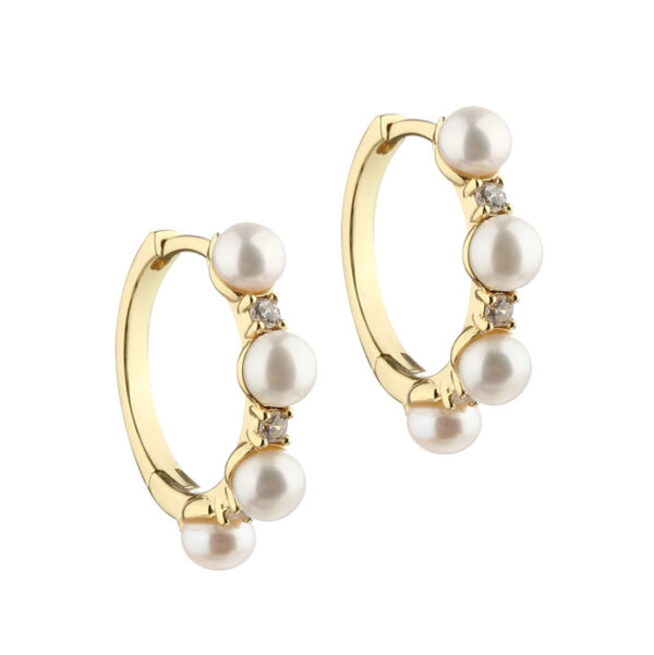 Darling Bubbels Hoops Oyraringar Gylt Silvur