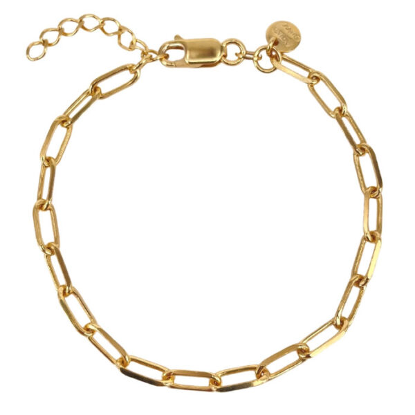 More Linky Armband Gylt Silvur