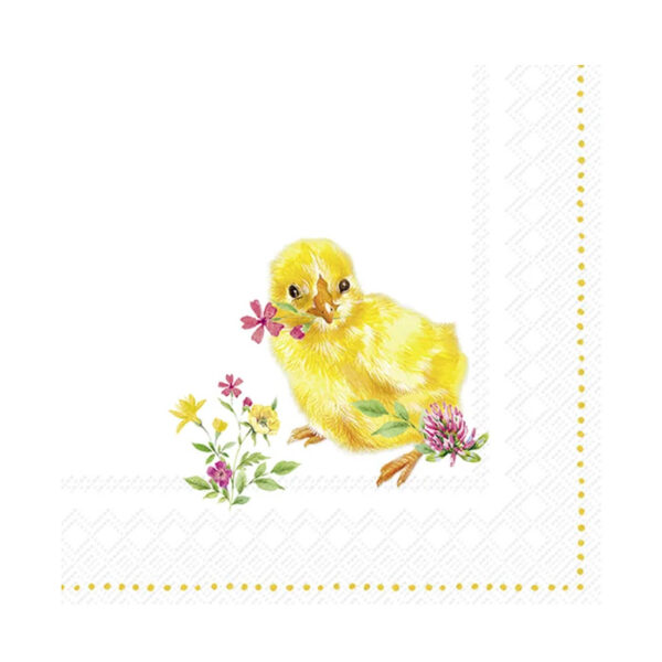 Café Serviettar 25 x 25 cm Chicks