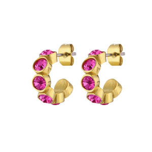 Jenna Hoops Oyraringar Pink Gylt