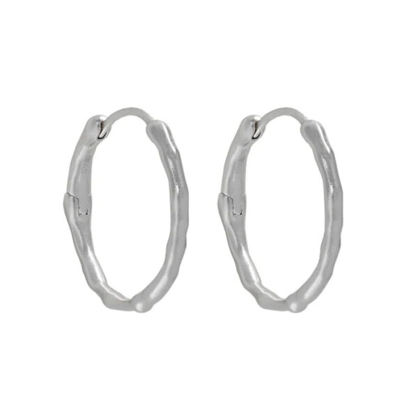 Nia Hoops Oyraringar Silvur - Image 3