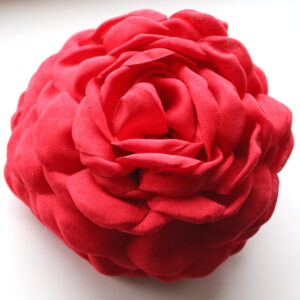 Daisy Big Hárklemma