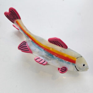 Fisk Hárklemma Rainbow