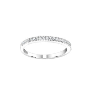 Adinanor Ringur Silvur