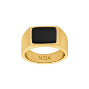 Black Agate Ringur Gylt Stál