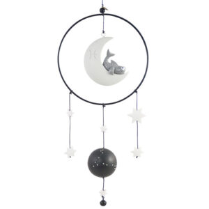 Stjørnutekin Fiskarnir Dreymafangari Órógv