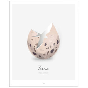 Terna Egg Plakat 40 x 50 cm