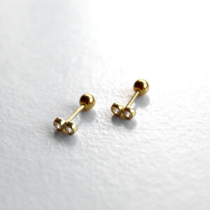 Dina 2 Piercing Oyraringar Gylt Silvur