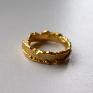 Vega Ringur Gylt Silvur