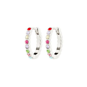 Kleopatra Hoops Oyraringar Silvrað