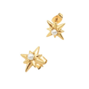 Pearl Star Oyraringar Gylt Stál