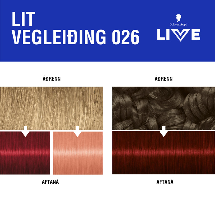 LIVE Colour Moment Hárliting 026 Dark Red - Image 3