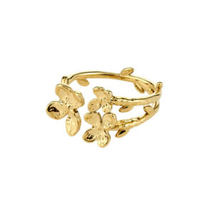 Ajani Ringur Gylt