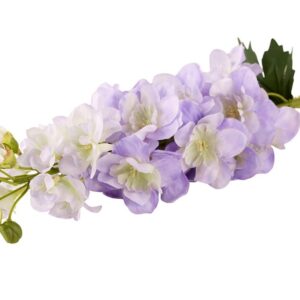 Delphinium Silkiblóma Lilla